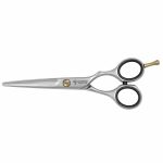 Barber Scissor