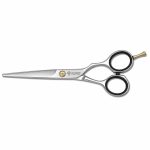 Barber Scissor
